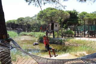  The course 